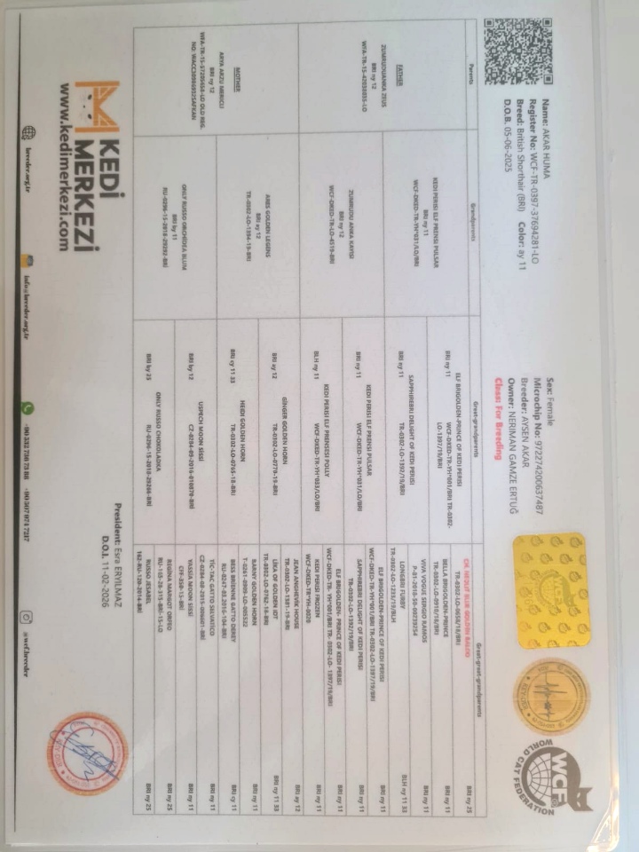 WCF pedigree of Huma